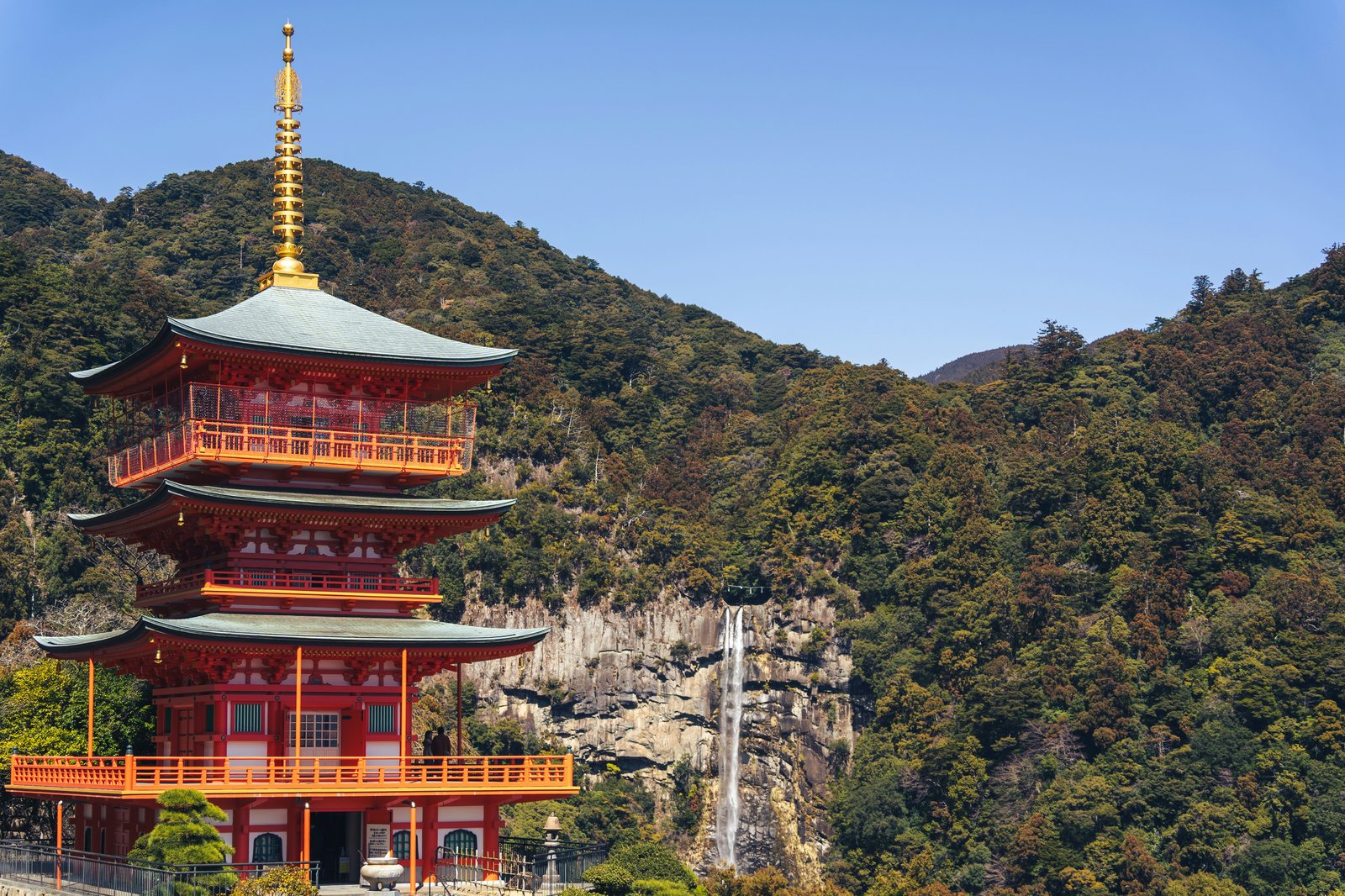 Ancient cedar forest and mountain shrine on the Kumano Kodo pilgrimage route